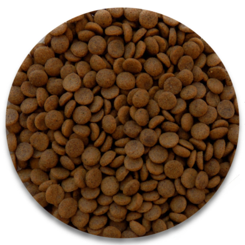 DOG DOJO ADULTO 1 KG