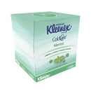 KLEENEX PAÑUELOS C/MENTOL C/60