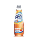 CARIBE COOLER DURAZNO 300 ML