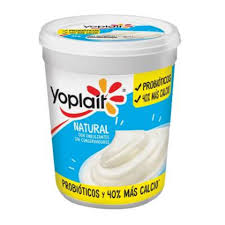 YOPLAIT YOGHURT NATURAL 450 GR