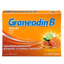 GRANEODIN B MIEL-LIMON PAST C/24 ME2%