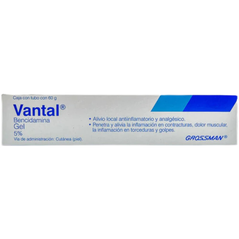 VANTAL GEL TUBO 60 GR
