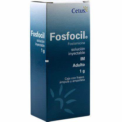 FOSFOCIL I.M. 1.0 GR INY