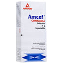 AMCEF 1 GR IV 10 ML GI