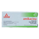 AMIKACINA 500 MG AMP C/2 AMSA GI