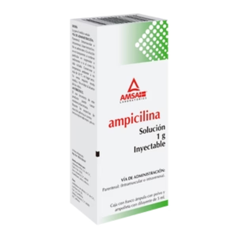 AMPICILINA 1 GR SOL INY 5 ML AMSA GI